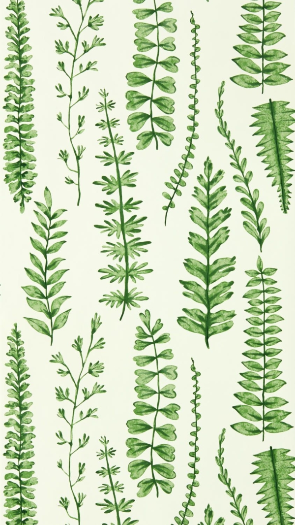 Ferns Juniper | Malcolm Fabrics NZ