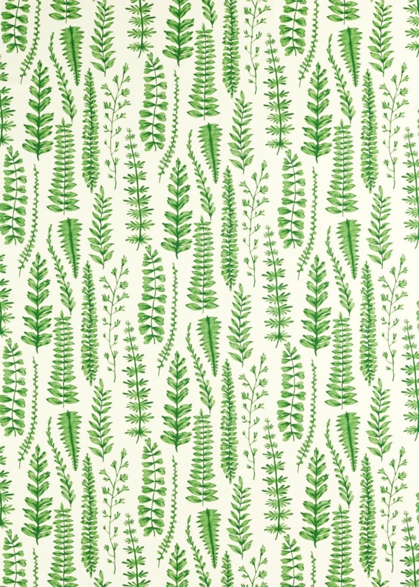 Ferns Juniper | Malcolm Fabrics NZ