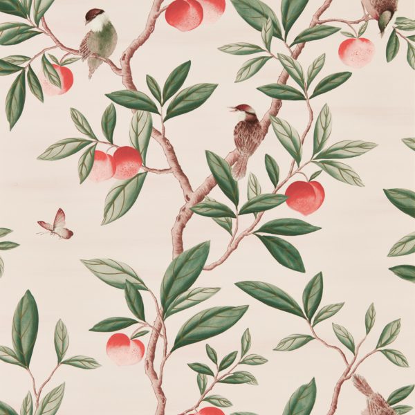 Ella Powder/ Sage / Peach | Malcolm Fabrics NZ