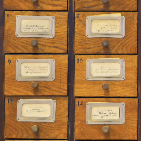 APOTHECARY WP20249 | Malcolm Fabrics NZ