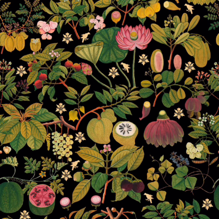 ASIAN FRUITS AND FLOWERS Anthracite WP20314 | Malcolm Fabrics NZ