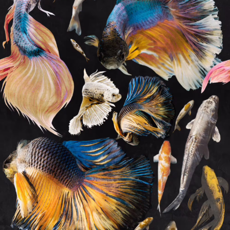 GOLDFISH Anthracite WP20301 | Malcolm Fabrics NZ