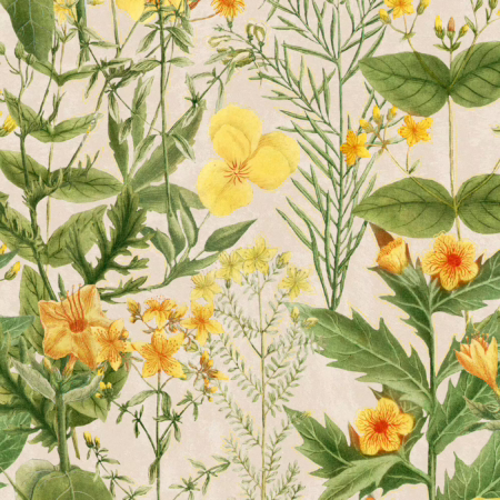 MIMULUS WP20323 | Malcolm Fabrics NZ