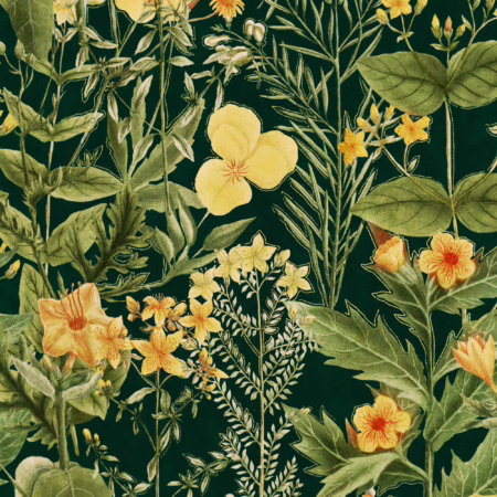 MIMULUS Anthracite WP20322 | Malcolm Fabrics NZ