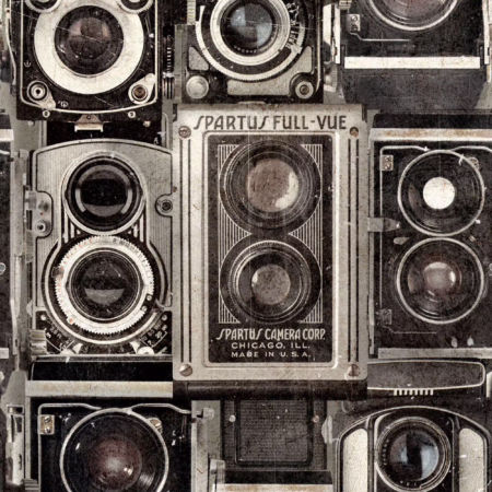 OBSCURE WP20239 | Malcolm Fabrics NZ