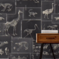 ZOOARCHAEOLOGY ANTHRACITE WP20237 | Malcolm Fabrics NZ