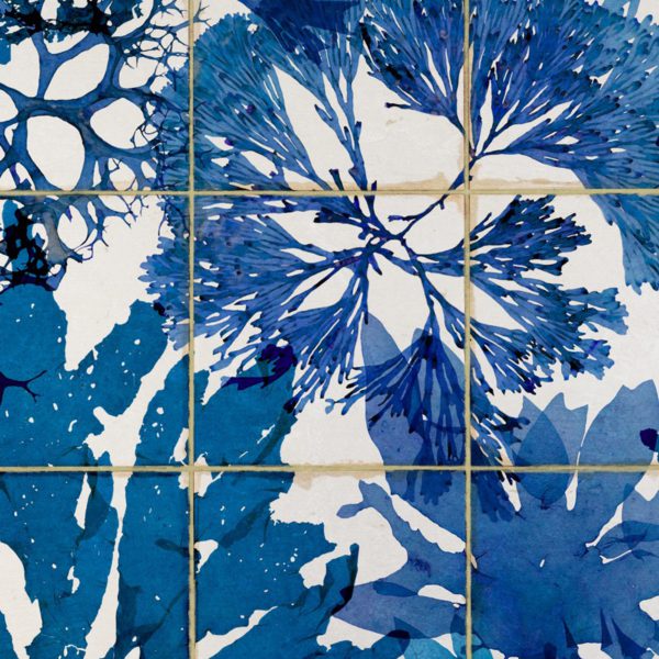 ALGAE IN BLUE | Malcolm Fabrics NZ