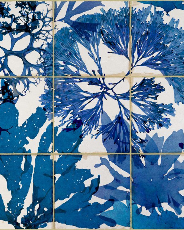 ALGAE IN BLUE | Malcolm Fabrics NZ