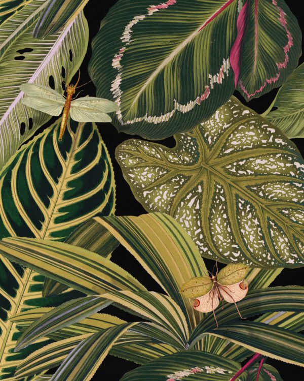 AMAZONIA | Malcolm Fabrics NZ