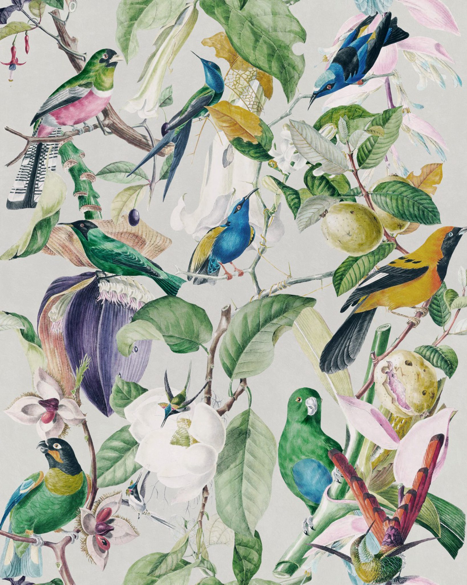 TROPICAL BIRDS | By | Malcolm Fabrics - NZ Distributor