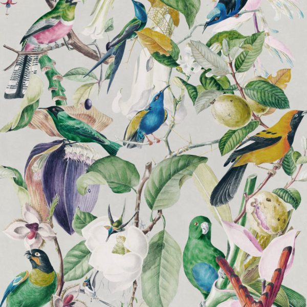 TROPICAL BIRDS | Malcolm Fabrics NZ
