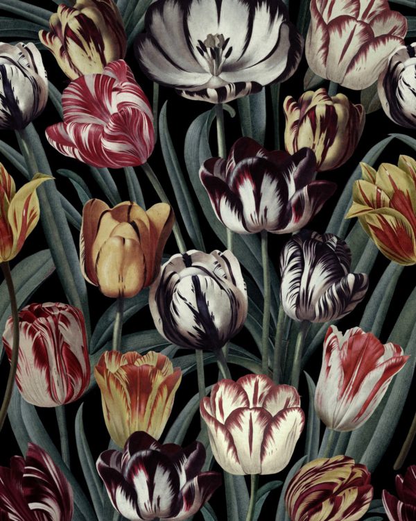 TULIPA DARK | Malcolm Fabrics NZ