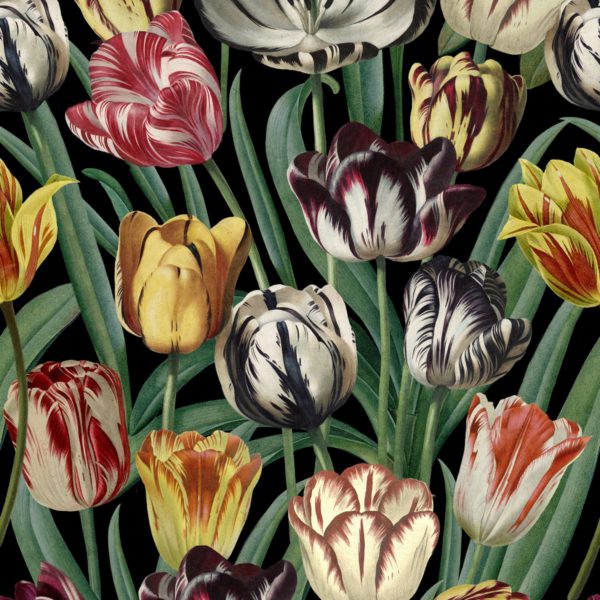 TULIPA | Malcolm Fabrics NZ