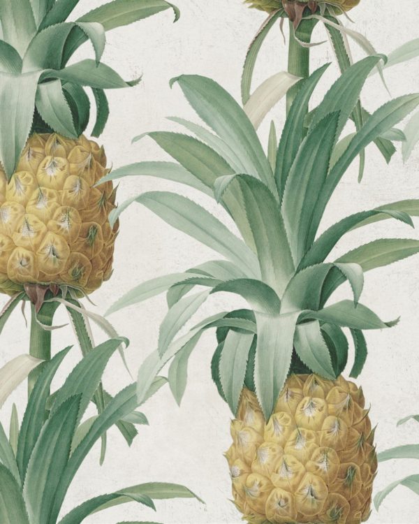 ANANAS | Malcolm Fabrics NZ