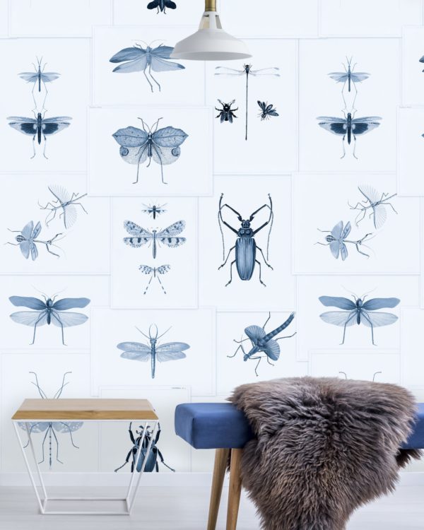 ENTOMOLOGY BLUE | Malcolm Fabrics NZ