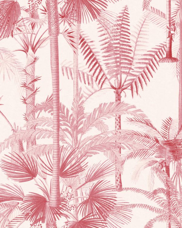 PALMERA CUBANA Pink | Malcolm Fabrics NZ