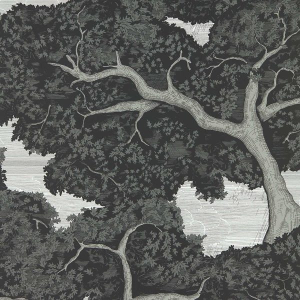 Eternal Oak Ebony/FirstLight | Malcolm Fabrics NZ