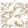 Venera SI02040 | Malcolm Fabrics NZ