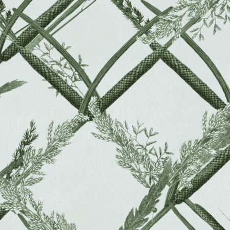 ORNAMENTAL REED Greenlake WP30162 | Malcolm Fabrics NZ