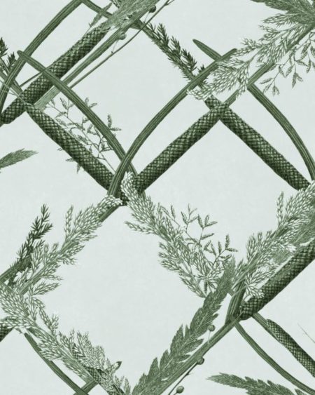 ORNAMENTAL REED Greenlake WP30162 | Malcolm Fabrics NZ