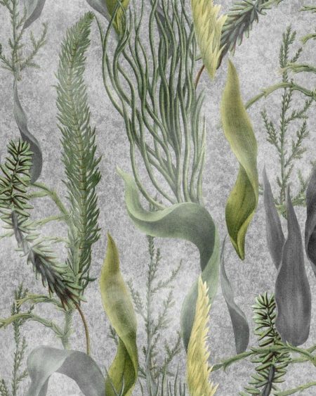 AQUATIC PLANTS Grey WP20718 | Malcolm Fabrics NZ