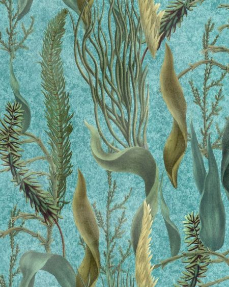 AQUATIC PLANTS Aquamarine WP20716 | Malcolm Fabrics NZ