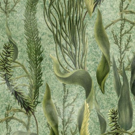 AQUATIC PLANTS WP20717 | Malcolm Fabrics NZ