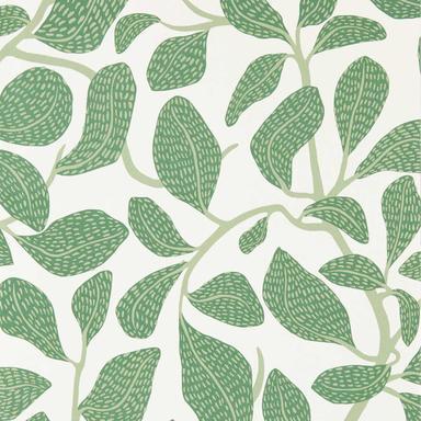 Sweet Bay 113268 | Malcolm Fabrics NZ