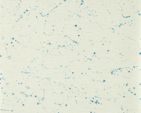 Moho 113318 | Malcolm Fabrics NZ
