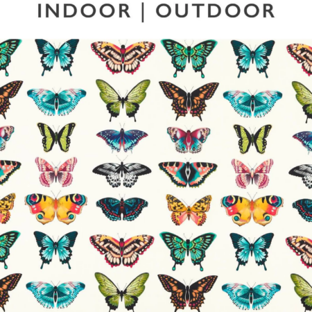 Papilio 121051 | Malcolm Fabrics NZ